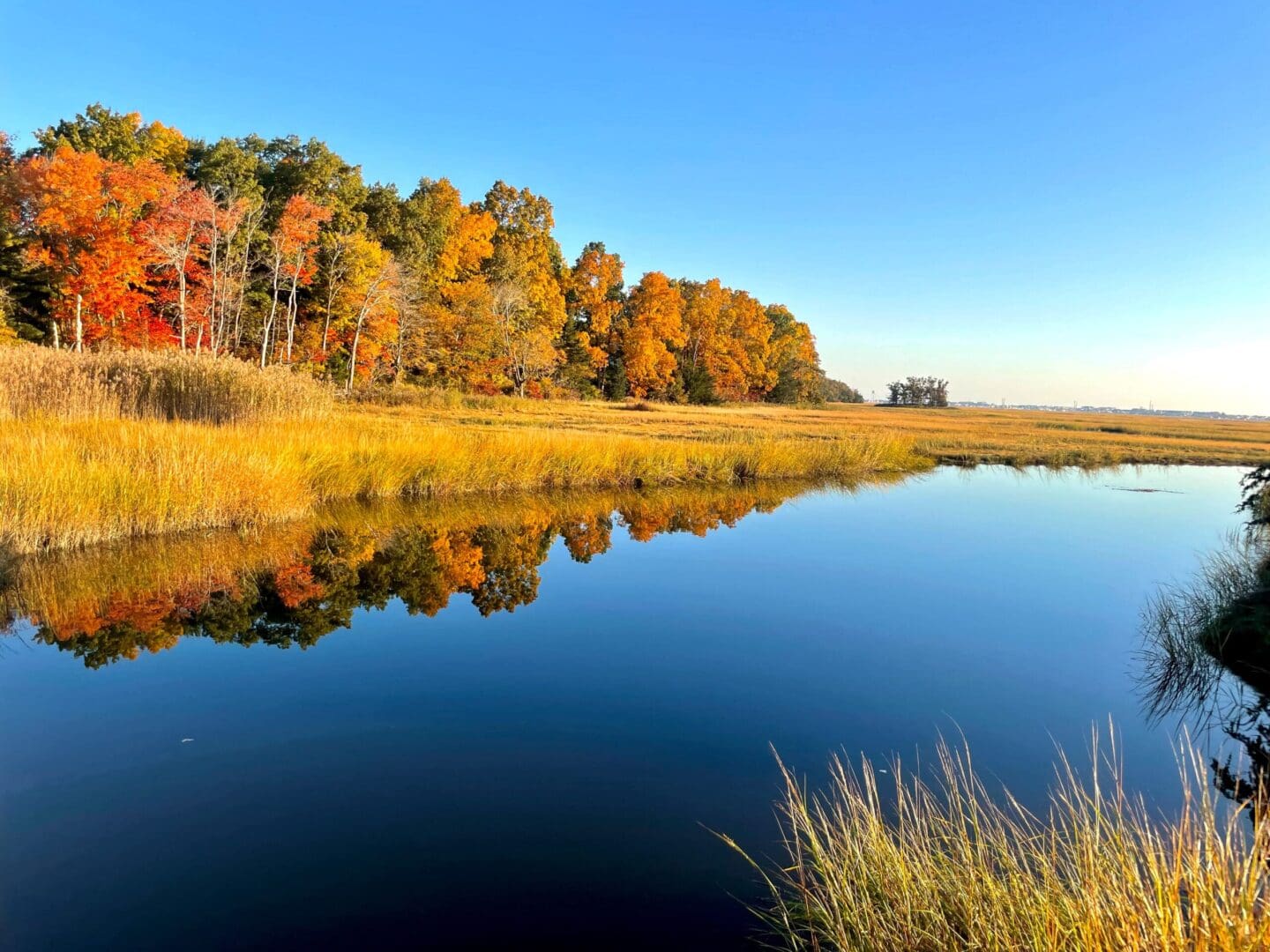 Featured image for “Hampton-Seabrook Estuary Collaborative- Fall Meeting”